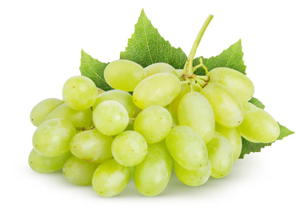 istock Isolated grapes bunch. Green (yellow) grapes with leaves isolated on white background with clipping path 1471483461