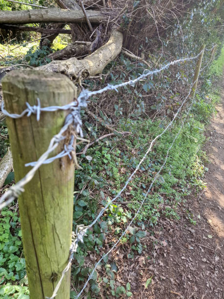 istock Close up of a barbed wire fence 1471492513