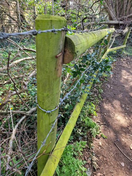 istock Close up of a barbed wire fence 1471492521