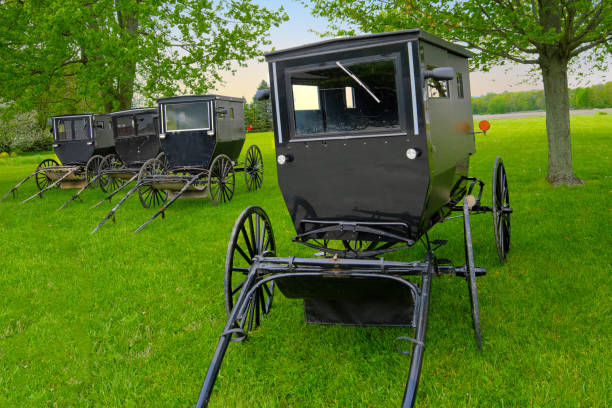 istock Amish Buggies- Northern Indiana 1471494957