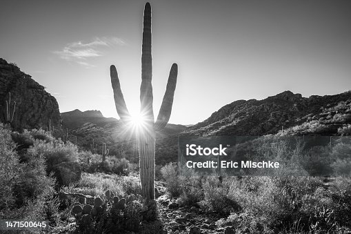 istock Sunrise in Bulldog Canyon in Tonto National Forest off the Apache Trail 1471500645