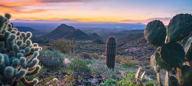 Beautiful sunrise in the majestic McDowell Mountains near Bell Pass