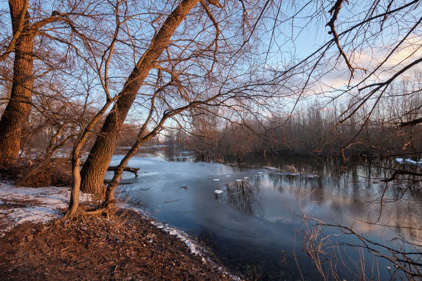дыхание весны вдоль реки - europe sunlight river sun стоковые фото и изображения