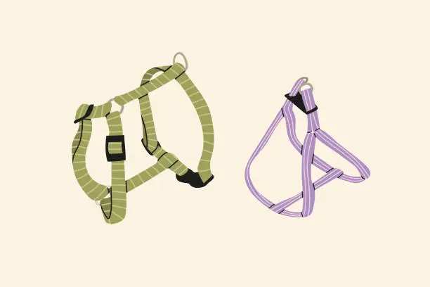 Vector illustration of Adjustable dog harnesses