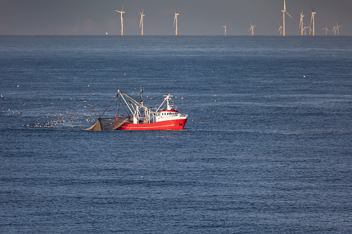 A cutter with lifted drag nets on the North sea with wind turbines in the background