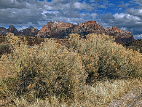 Country road along the Virgin River in Rockville Utah with Zion National Park in the background and spring-like clouds rising