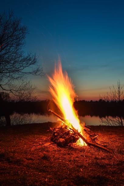 istock Night summer scenery by the lake. 1471516038