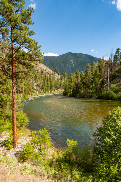 istock Rafting on the Middle Fork of the Salmon River, Idaho 1471521275