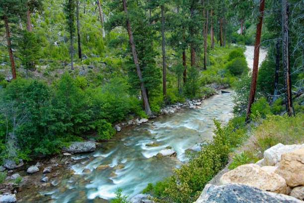 istock Rafting on the Middle Fork of the Salmon River, Idaho 1471522361