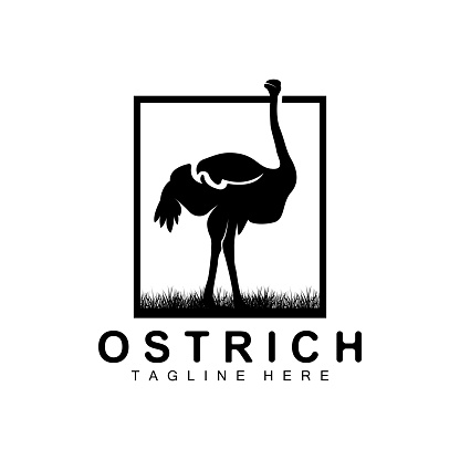 Ostrich Design, Desert Animal Illustration, Living In The Forest, Vector Camel Brand Product