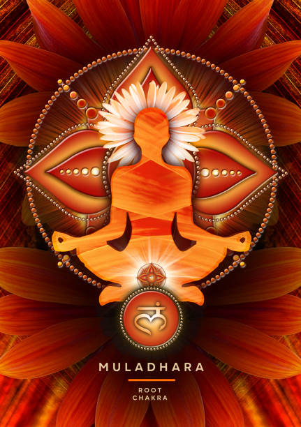 ilustraciones, imágenes clip art, dibujos animados e iconos de stock de meditación del chakra raíz en la postura del loto de yoga, frente al símbolo del chakra muladhara y la flor floreciente del jardín gazania. - om symbol lotus hinduism symbol