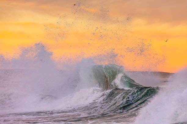 istock Powerful display of ocean waves colliding creating water explosion in dramatic light 1471530581