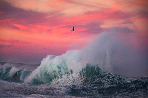 Ocean waves colliding with dramatic pink and red light sky. Shot on the south east coast of Australia.