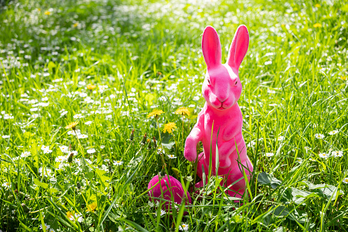 A pink rabbit and its egg in the middle of a meadow. Easter concept.