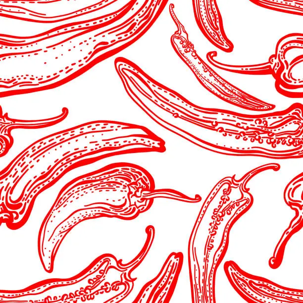 Vector illustration of Red pepper chilli seamless print. Hot spice Sketch