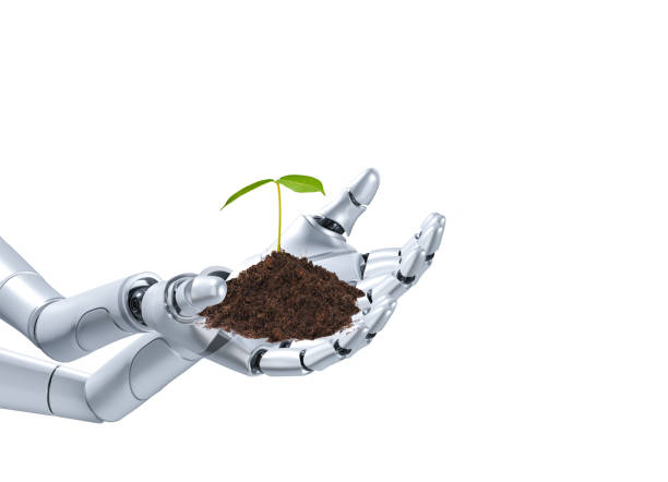 istock Robot Hands Holding Sprout isolated on white background with clipping path,  3d render 1471536539