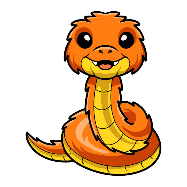 Cute orange spiny bush viper cartoon Vector illustration of Cute orange spiny bush viper cartoon african bush viper venomous snake stock illustrations