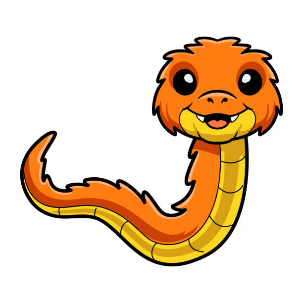 Cute orange spiny bush viper cartoon Vector illustration of Cute orange spiny bush viper cartoon african bush viper venomous snake stock illustrations