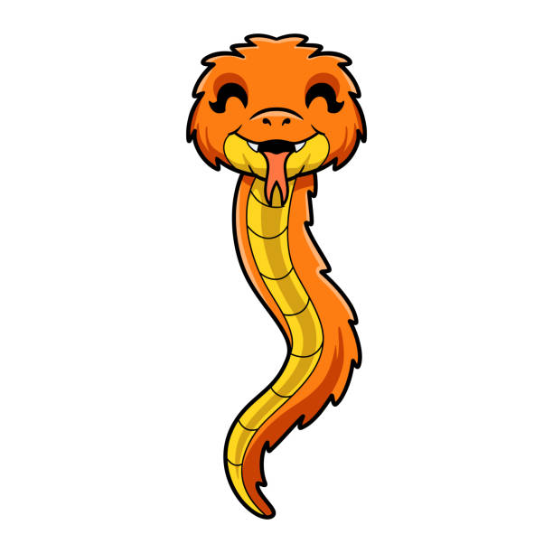 Cute orange spiny bush viper cartoon Vector illustration of Cute orange spiny bush viper cartoon african bush viper venomous snake stock illustrations