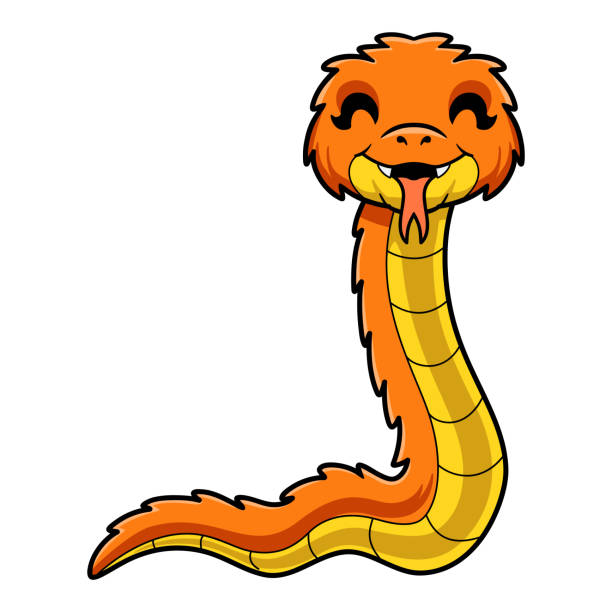 Cute orange spiny bush viper cartoon Vector illustration of Cute orange spiny bush viper cartoon african bush viper venomous snake stock illustrations