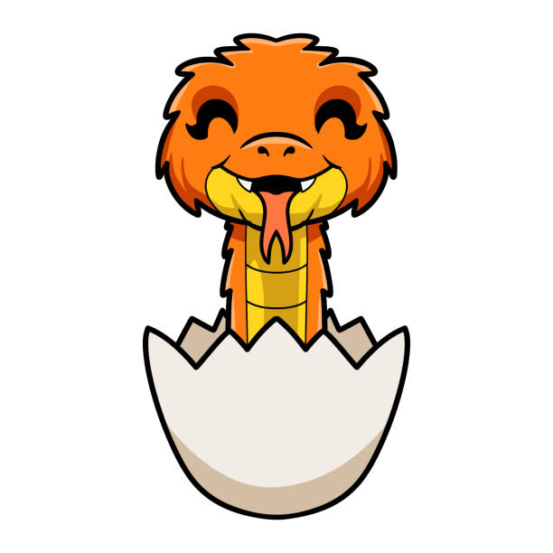 Cute orange spiny bush viper cartoon inside an egg Vector illustration of Cute orange spiny bush viper cartoon inside an egg african bush viper venomous snake stock illustrations