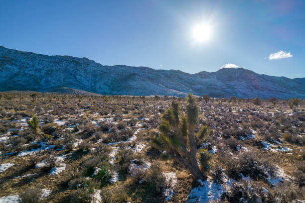 neve nelle montagne della california. vista aerea su cactus con neve durante le ultime giornate invernali. - inversion layer foto e immagini stock