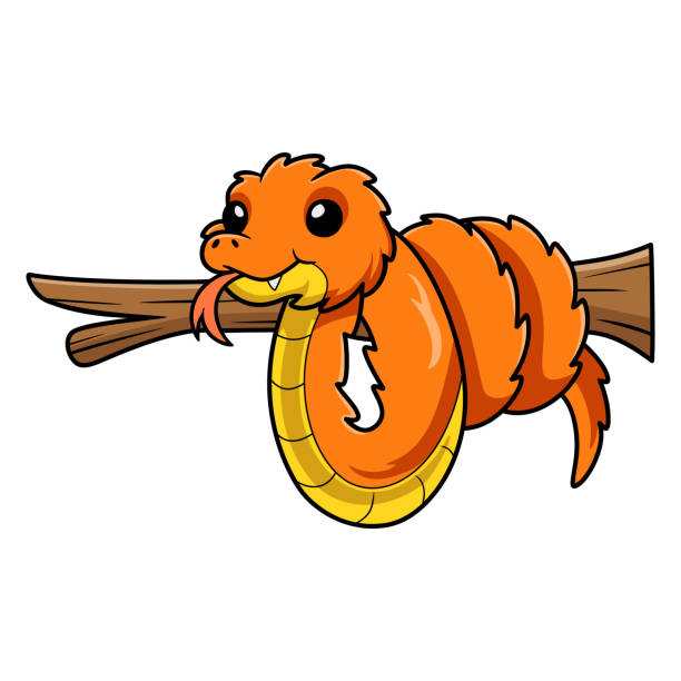 Cute orange spiny bush viper cartoon on tree branch Vector illustration of Cute orange spiny bush viper cartoon on tree branch african bush viper venomous snake stock illustrations