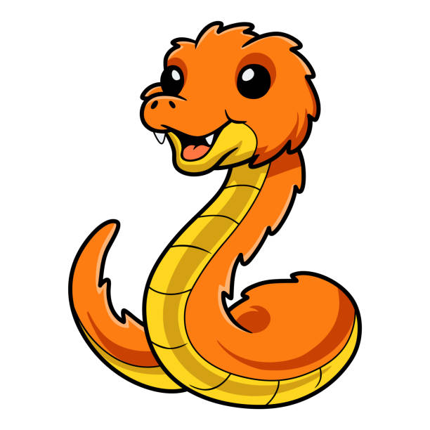 Cute orange spiny bush viper cartoon Vector illustration of Cute orange spiny bush viper cartoon african bush viper venomous snake stock illustrations