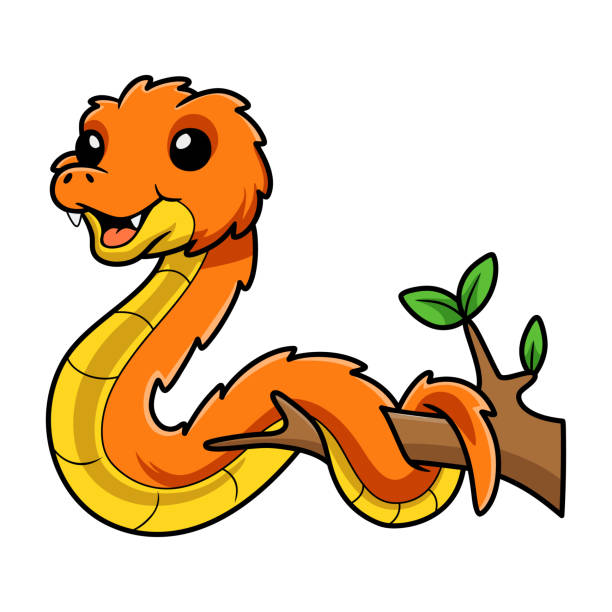 Cute orange spiny bush viper cartoon on tree branch Vector illustration of Cute orange spiny bush viper cartoon on tree branch african bush viper venomous snake stock illustrations