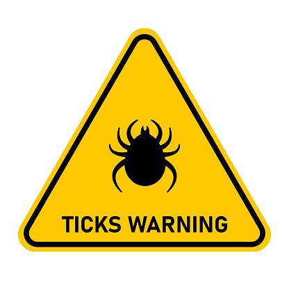 Ticks. Tick warning sign. Attention ticks. Mite. Vector illustration.