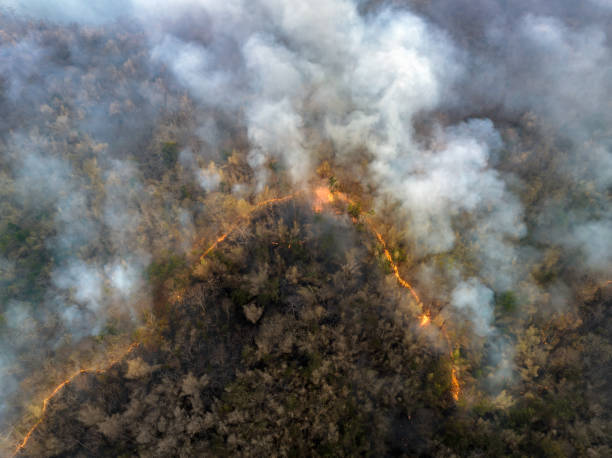 Climate change, Wildfires release carbon dioxide (CO2) emissions and other greenhouse gases (GHG) that contribute to climate change and global warming. stock photo