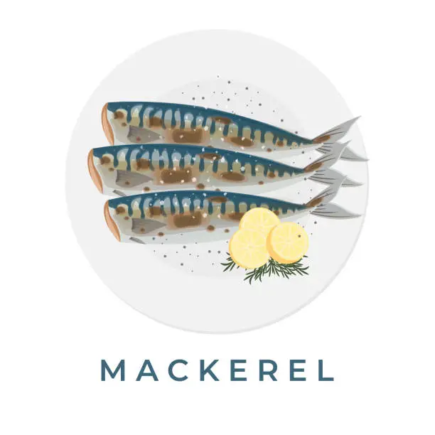 Vector illustration of Healthy and Delicious Grilled Mackerel Dish Illustration On A White Plate