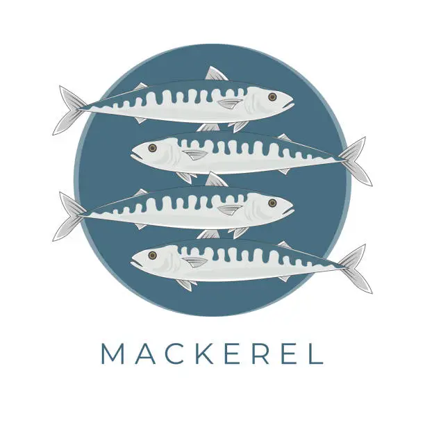 Vector illustration of Fresh Blue Mackerel Fish Simple Illustration