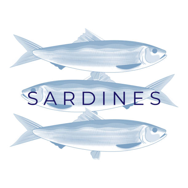 illustrazioni stock, clip art, cartoni animati e icone di tendenza di illustrazione vettoriale semplice del pesce della sardina in colore blu - fish oil illustrations