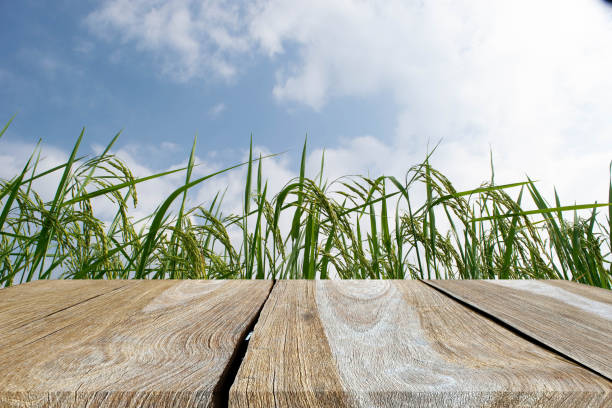 istock wooden table beautiful bright rice field background 1471554277