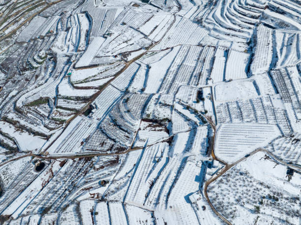 istock Agriculture terrace fields covered with fresh white snow 1471569301