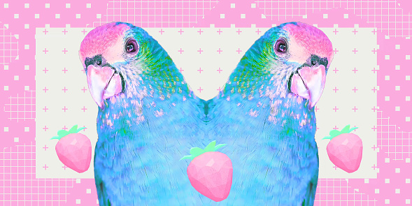 Contemporary digital collage art. Modern trippy design. Funny parrot and creative abstract background