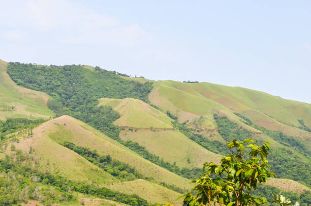 istock Mullayangiri range of mountains in Chikmagalur, India 1471572080