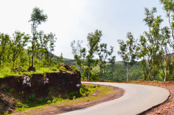 istock Mullayangiri range of mountains in Chikmagalur, India 1471572082