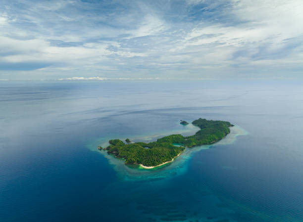 istock Tropical island with sandy beach. 1471576700