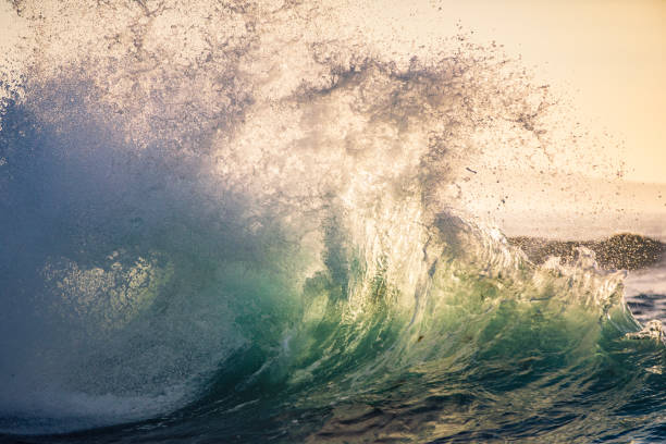 istock Powerful ocean waves erupting in early morning golden light 1471577593