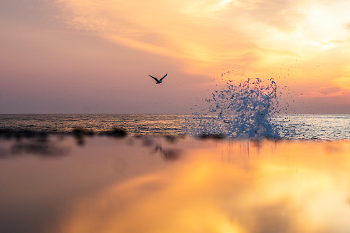 Unique composition of ocean wave creating splash pattern in dramatic early morning golden light with birds flying in the sky. Shot on the south east coast of Australia.