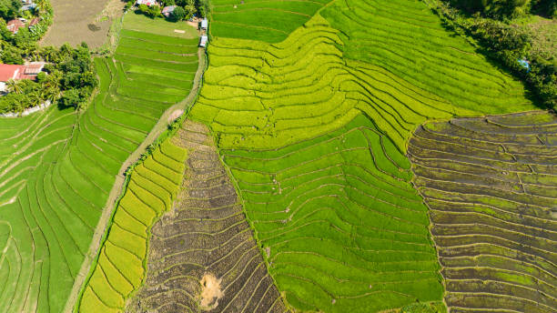 istock Farmland in the Philippines. 1471577689