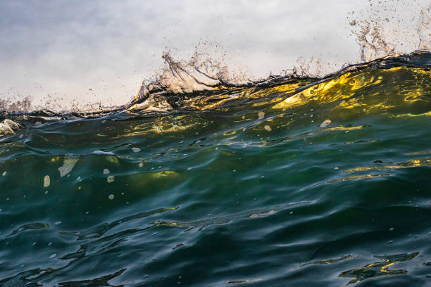 Close up of ocean waves colliding creating pattern in warm golden light. Shot on the south east coast of Australia.
