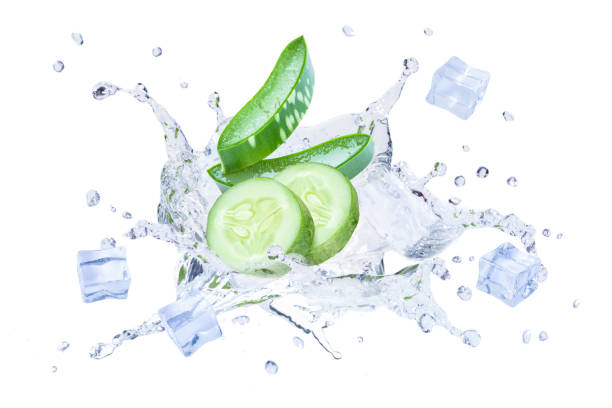 istock Cucumber and aloe vera plant with water splash 1471577893