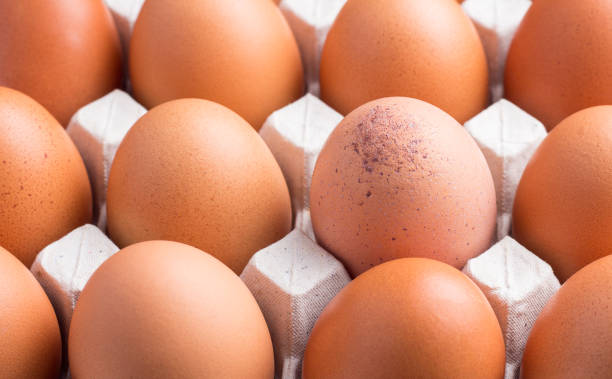 istock storage of fresh egg for cooking 1471578283