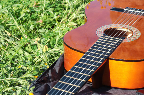 istock isolated guitar on nature outdoors 1471583219