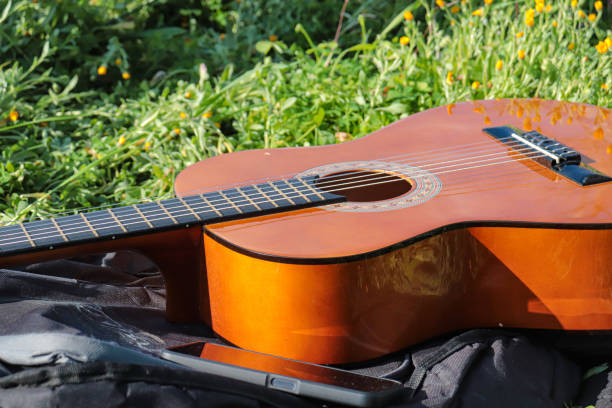 istock isolated guitar on nature outdoors 1471584305
