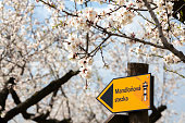 Sign almond trail in Almond tree orchard in Hustopece, South Moravia, Czech Republic