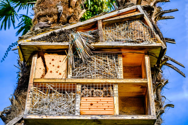 wooden insect house or hotel - photo